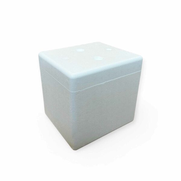 isolatie verzendbox klein verzenden post droogijs